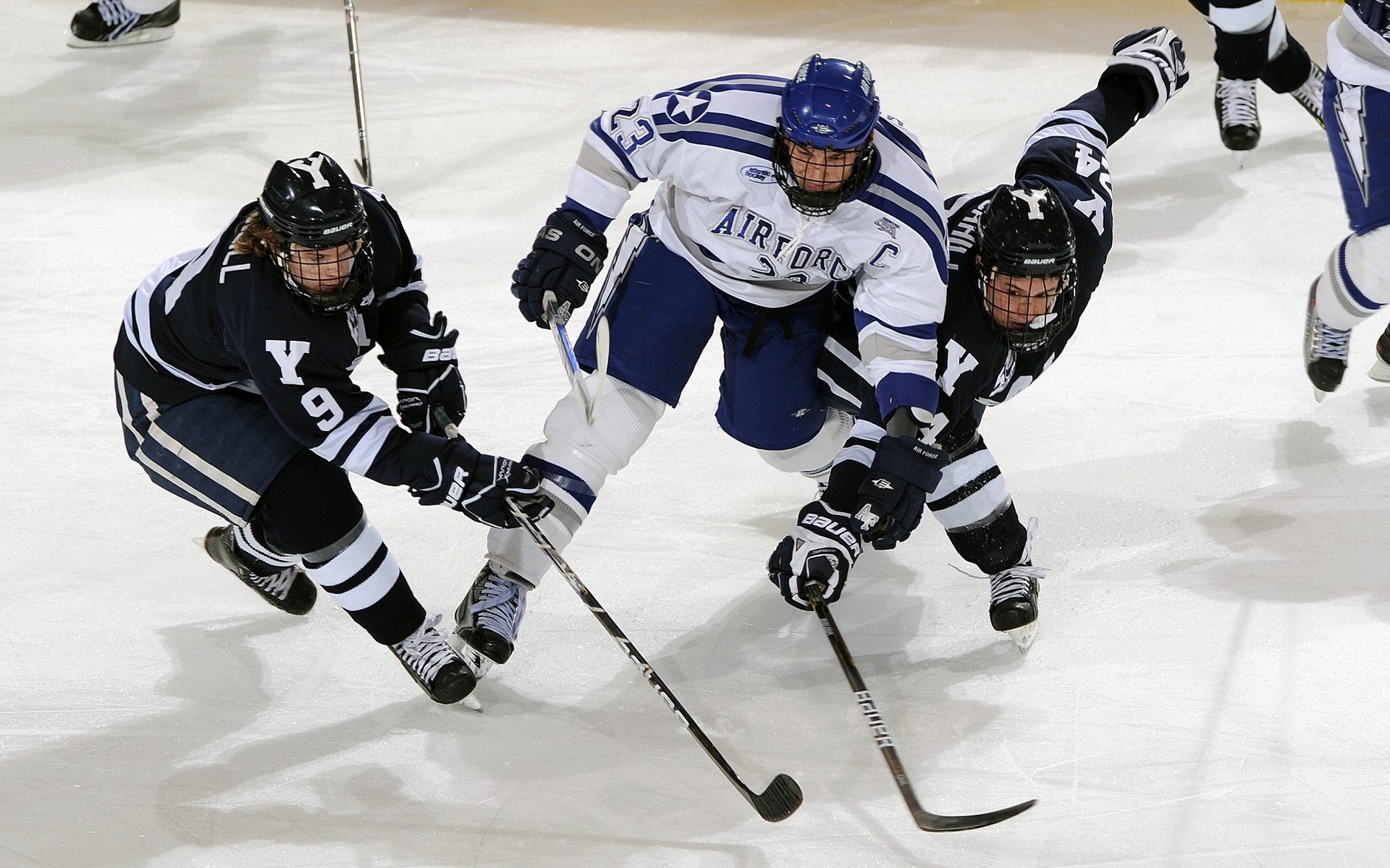 _夜光灯光武术表演：灯火辉煌中的运动盛典_，武馆灯光