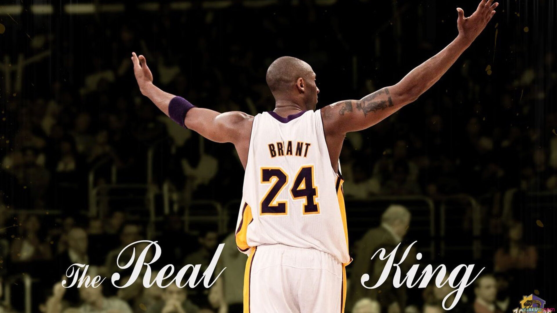 赛场底蕴:球队文化与历史传承揭秘,球队文化与企业文化